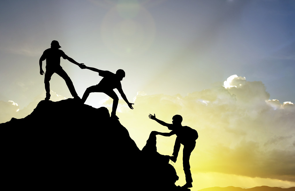 especialista freelance google ads y google ad grants